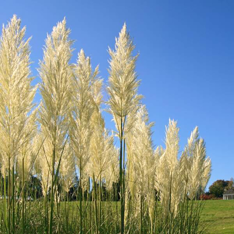 KODAK EASYSHARE Z712