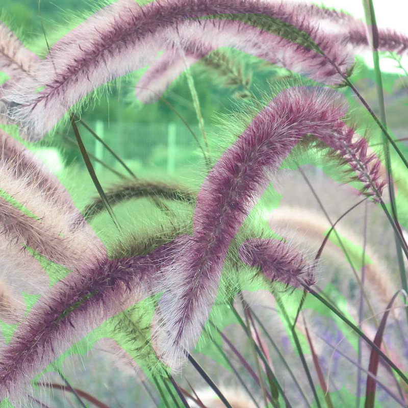 Suitability  Preparation