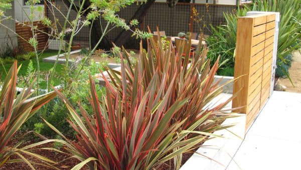 How to Become a Merchandise  Broker