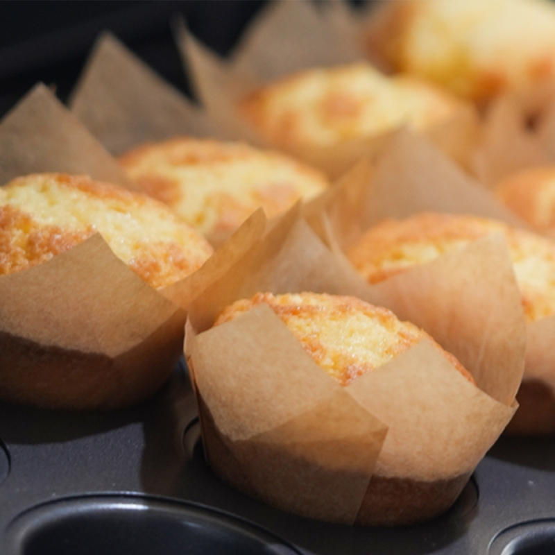 Tulip cupcake paper cups